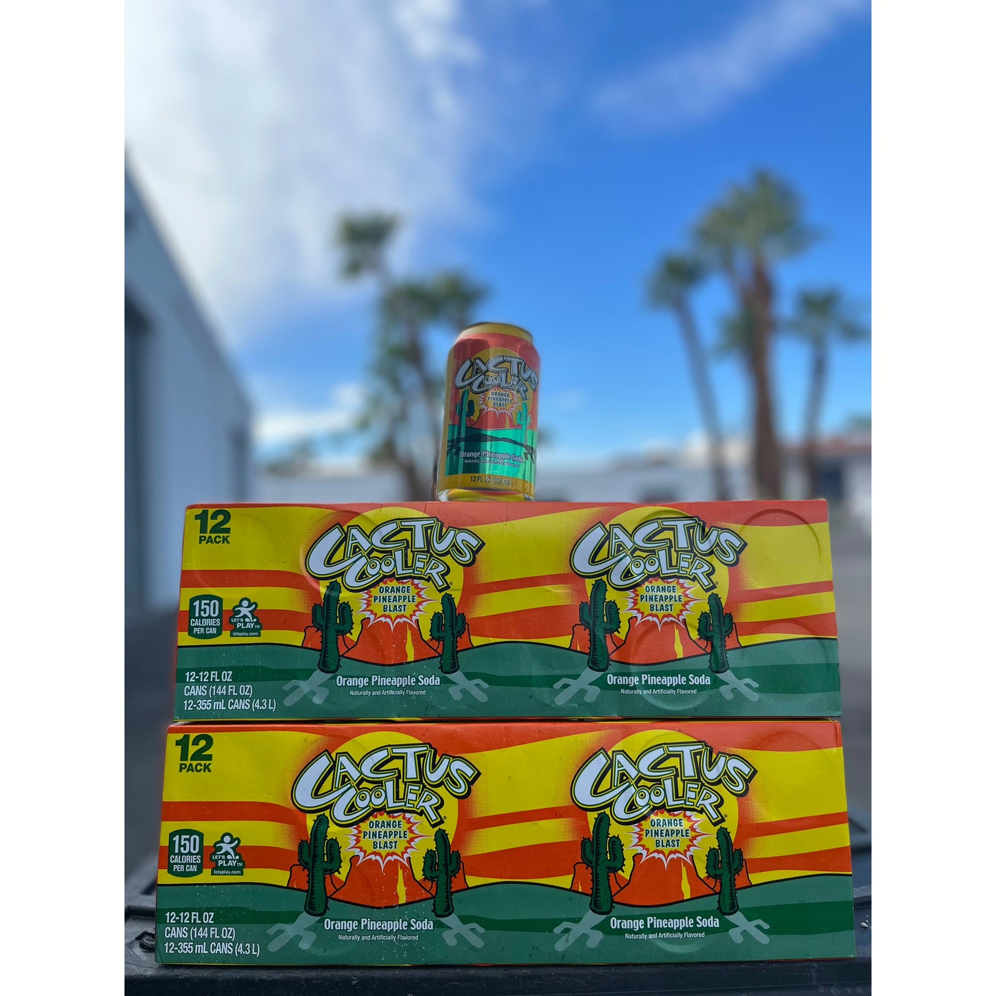 Cactus Cooler Can (Rare American) - Exotic Soda Company
