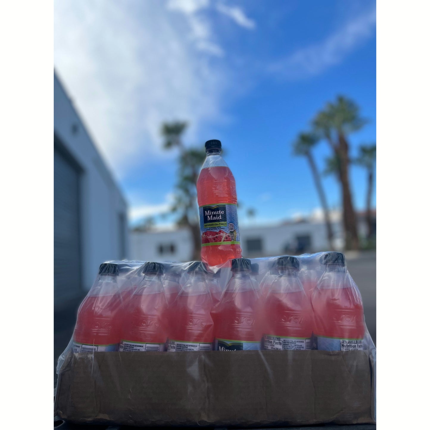 Minute Maid Watermelon Punch (Rare American) - Exotic Soda Company