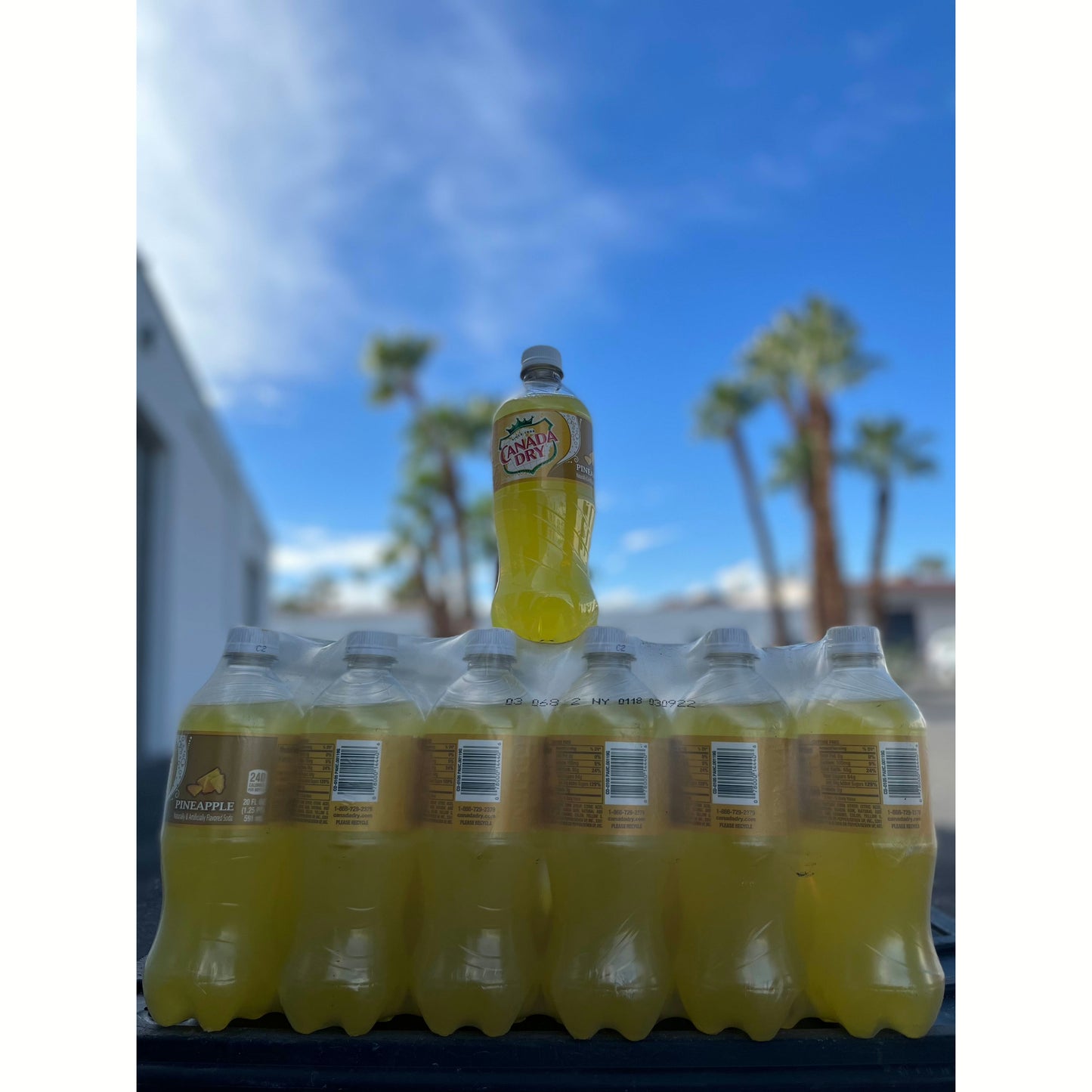 Canada Dry- Pineapple (Canada) - Exotic Soda Company