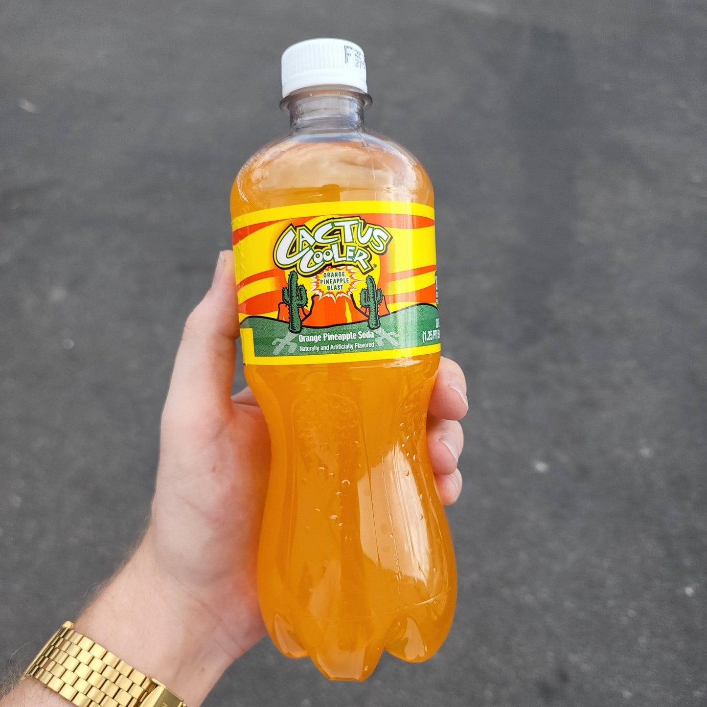 Cactus Cooler (Rare American) - Exotic Soda Company